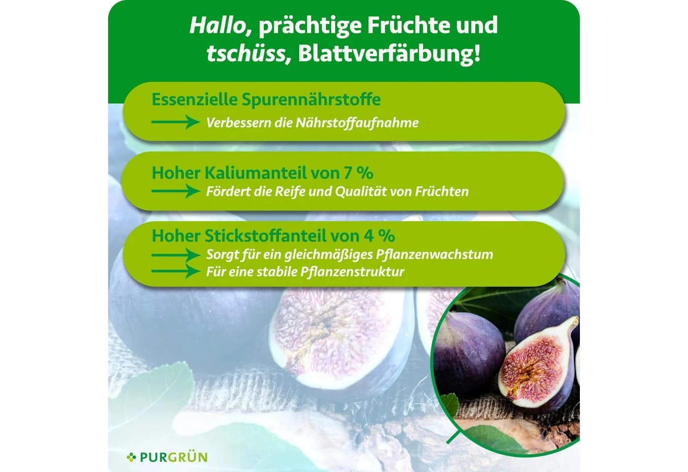 Purgrün Bio-Feigendünger Flüssigdünger NPK 4+1+7 Algenextrakt Vinasse 1 Liter - Bild 3