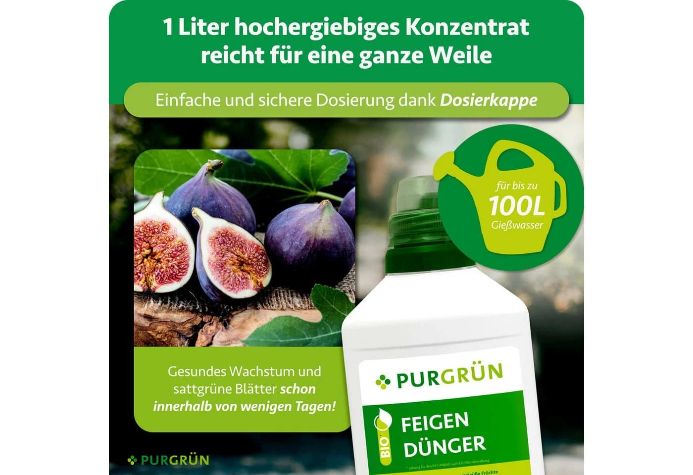 Purgrün Bio-Feigendünger Flüssigdünger NPK 4+1+7 Algenextrakt Vinasse 1 Liter - Bild 4
