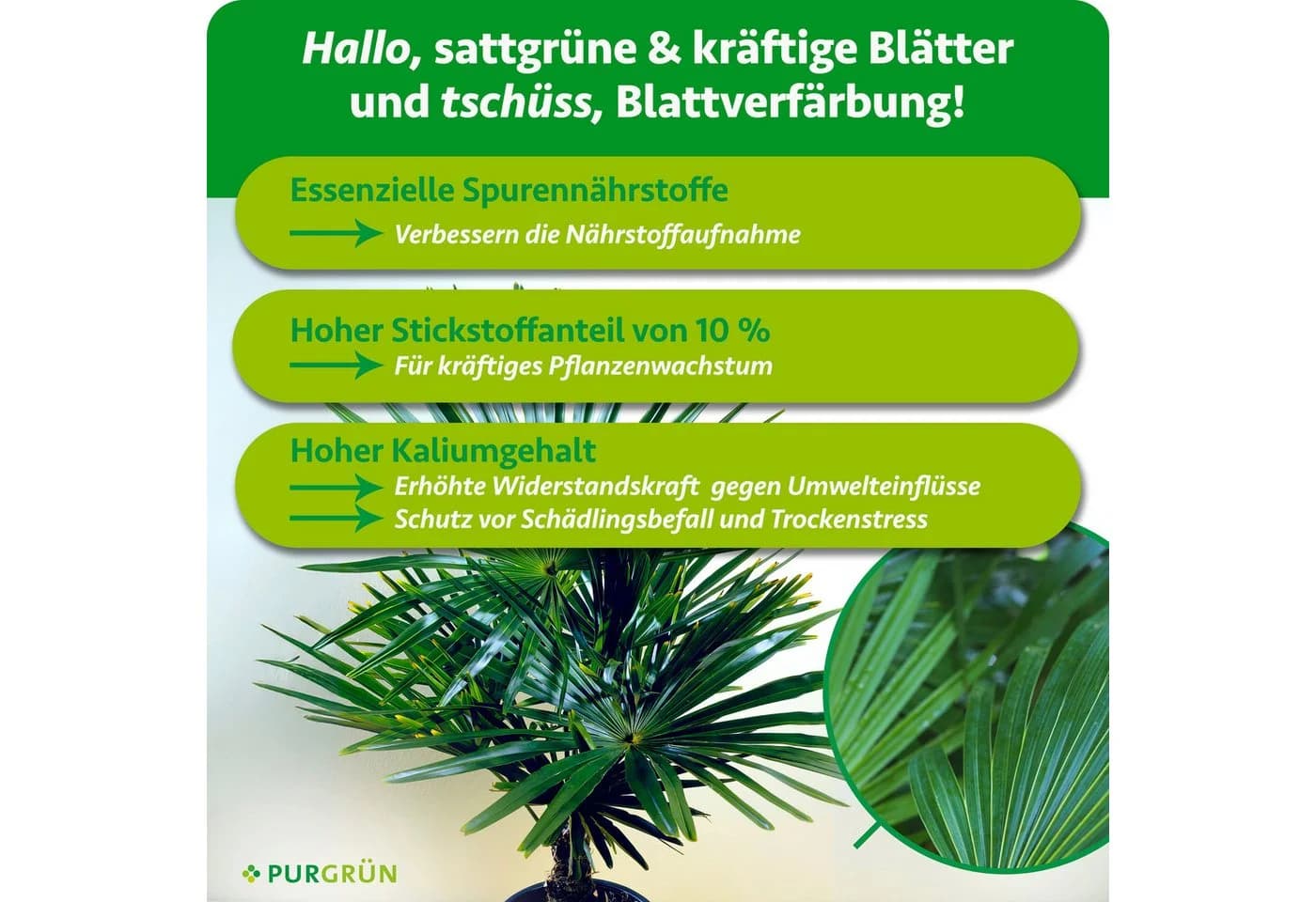 Purgrün Hanfpalmen Dünger Flüssigdünger 1L NPK 10+4+6 - Bild 3