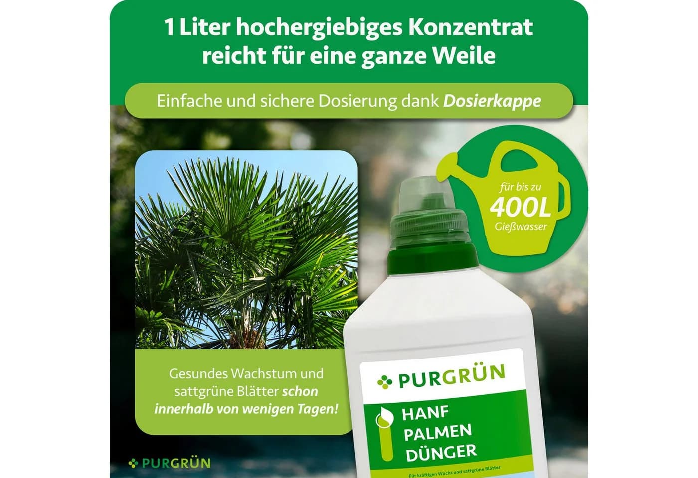 Purgrün Hanfpalmen Dünger Flüssigdünger 1L NPK 10+4+6 - Bild 4