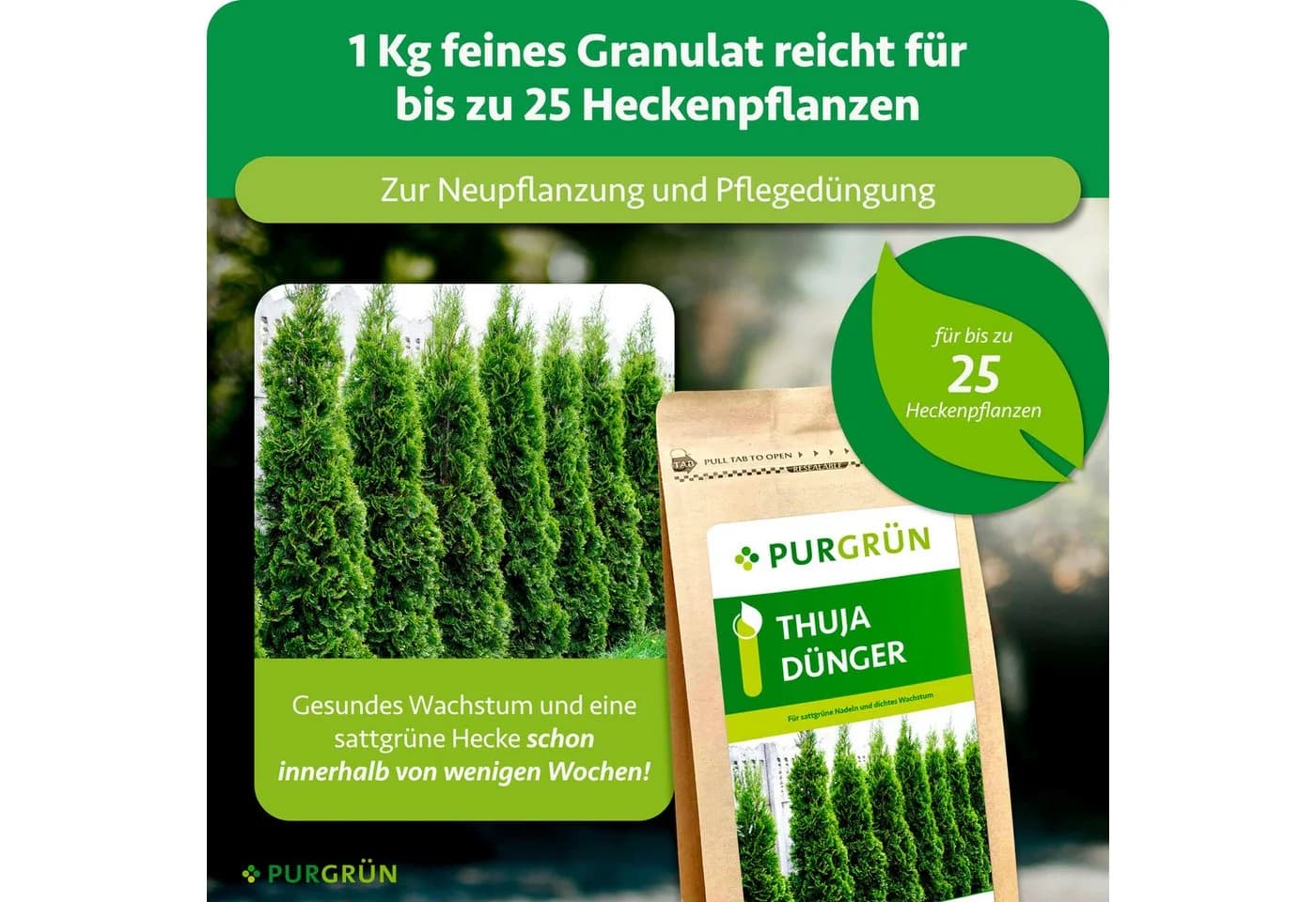 Purgrün Thuja Dünger 1 kg NPK 9+4+8 Granulat für sattgrüne Hecken - Bild 4