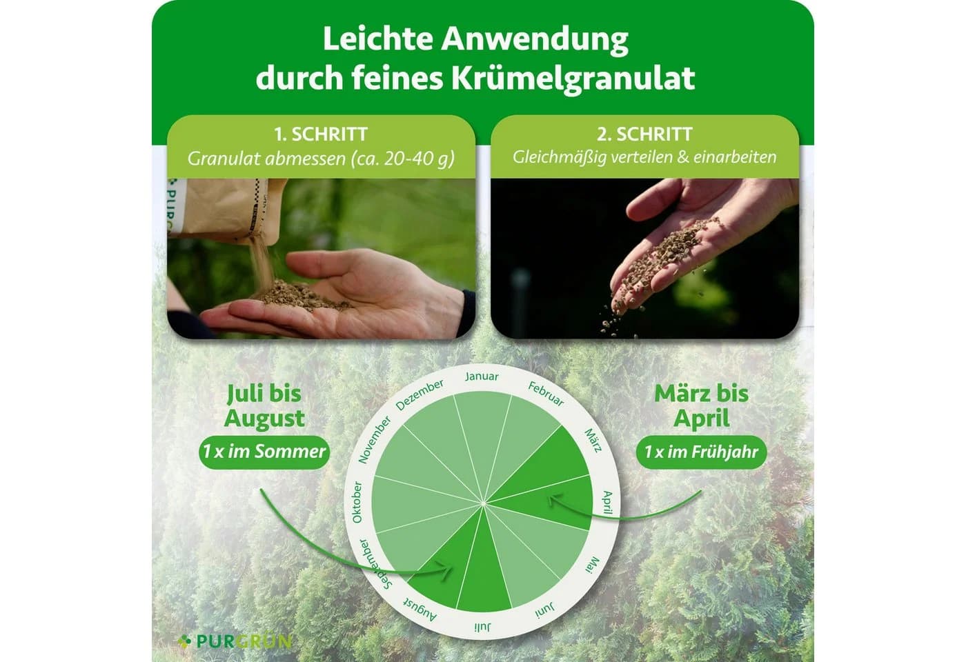 Purgrün Thuja Dünger 1 kg NPK 9+4+8 Granulat für sattgrüne Hecken - Bild 5
