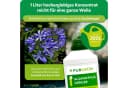 Purgrün Agapanthus Dünger Flüssigdünger 1 Liter NPK 3+5+7 extra Kalium Bild 4