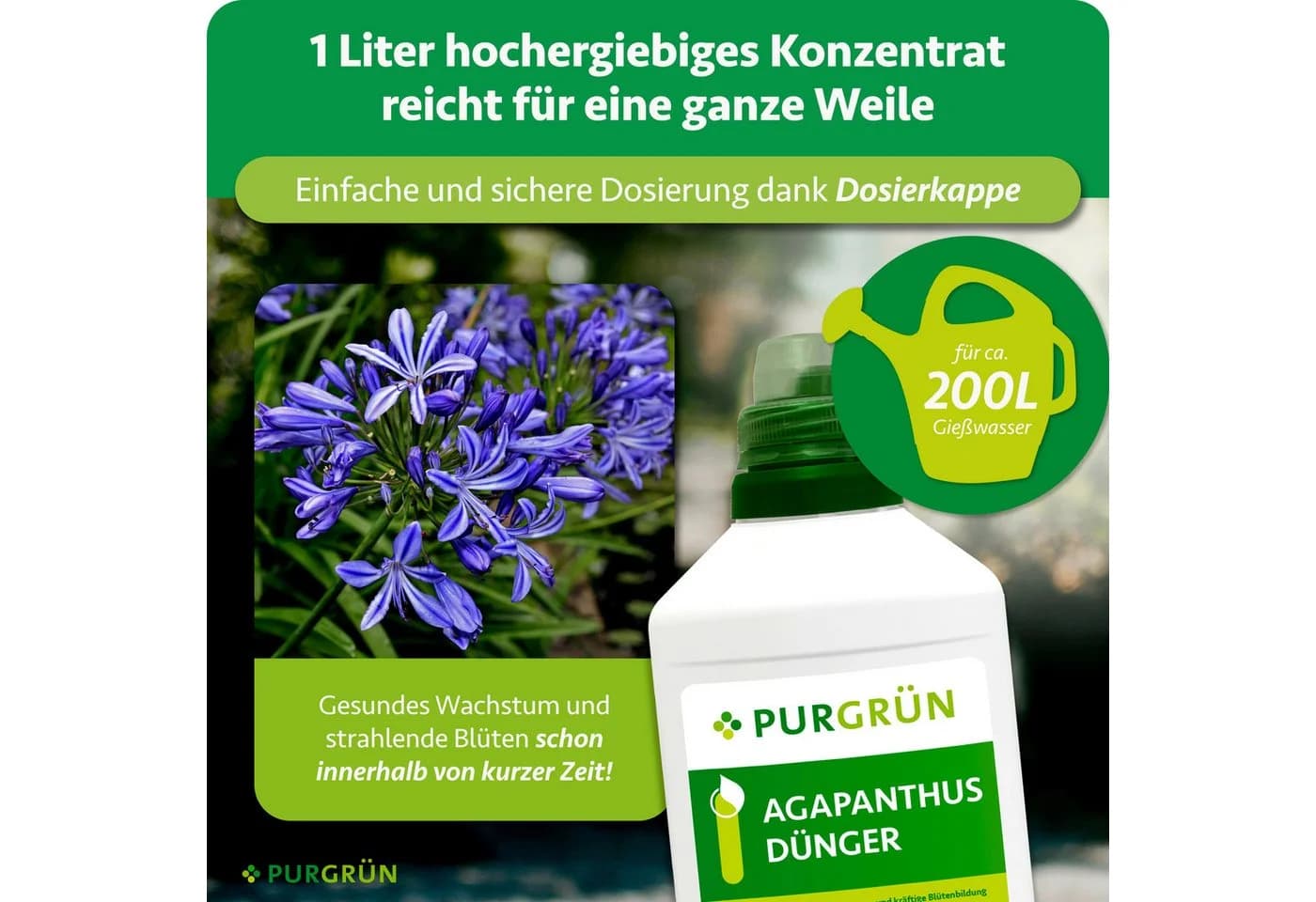 Purgrün Agapanthus Dünger Flüssigdünger 1 Liter NPK 3+5+7 extra Kalium - Bild 4