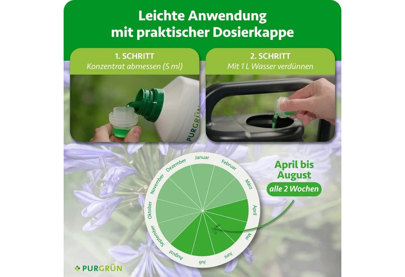 Purgrün Agapanthus Dünger Flüssigdünger 1 Liter NPK 3+5+7 extra Kalium - Bild 5