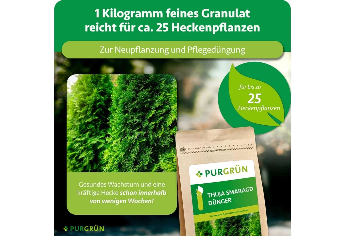 Purgrün Gartendünger Thuja Smaragd Granulat 1 kg NPK 9+4+8 - Bild 4