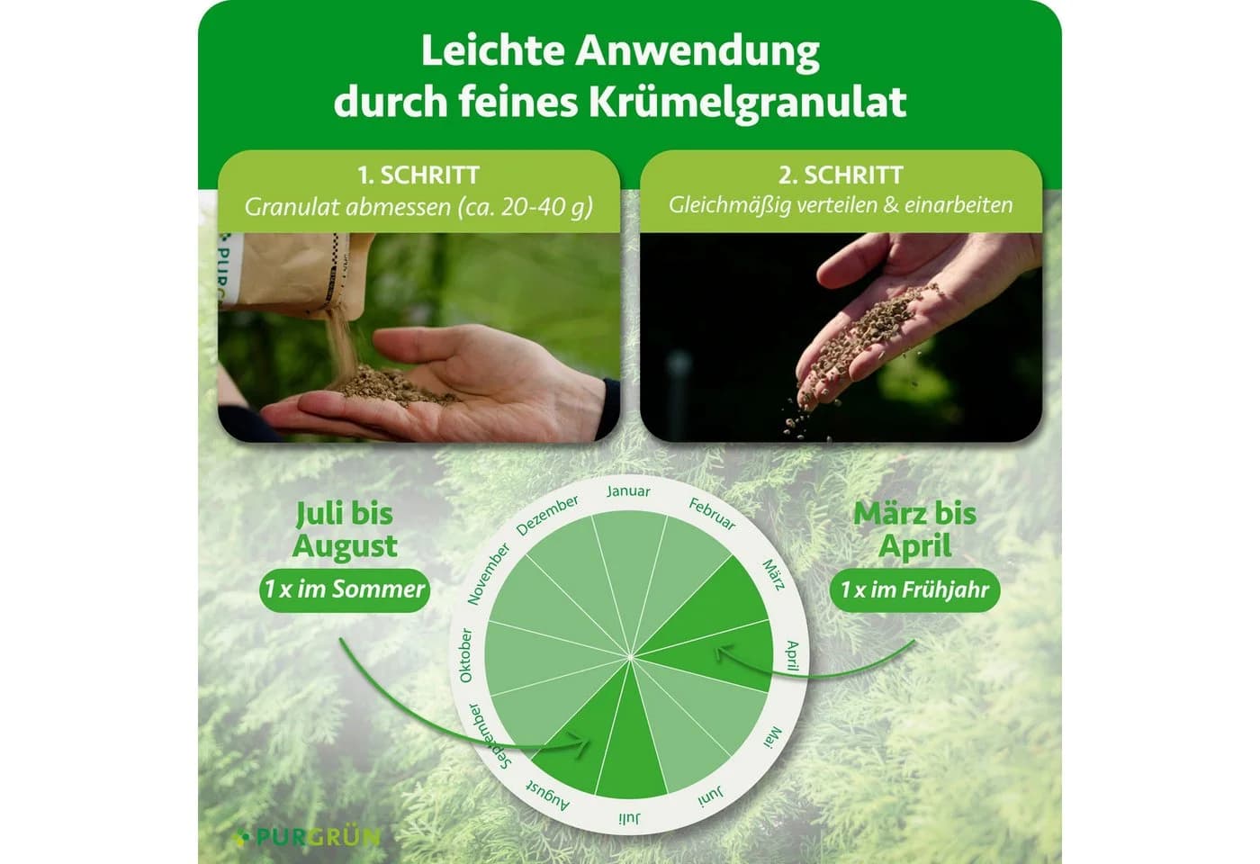 Purgrün Gartendünger Thuja Smaragd Granulat 1 kg NPK 9+4+8 - Bild 5