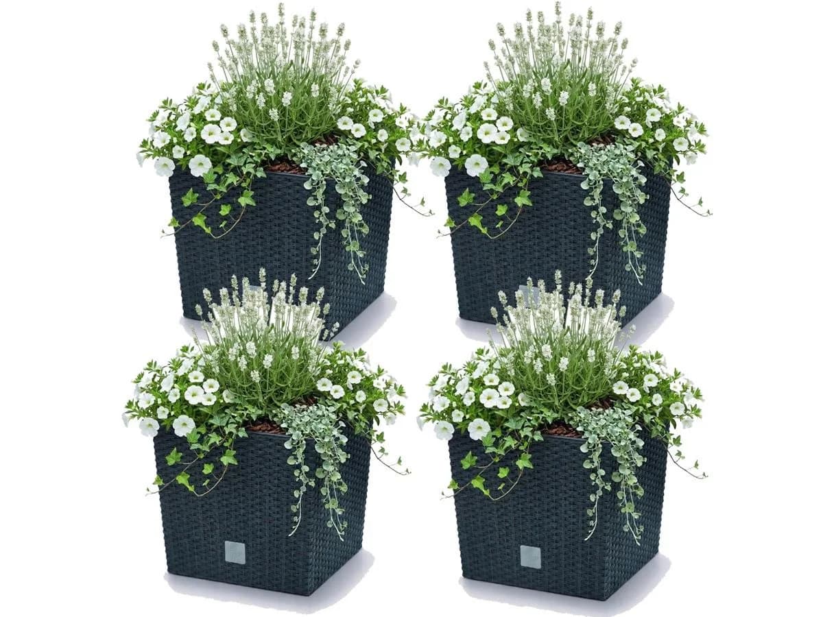 Prosperplast Blumentopf Rato Low 26,6 cm Set 4 St. Grau Rattanoptik - Bild 2