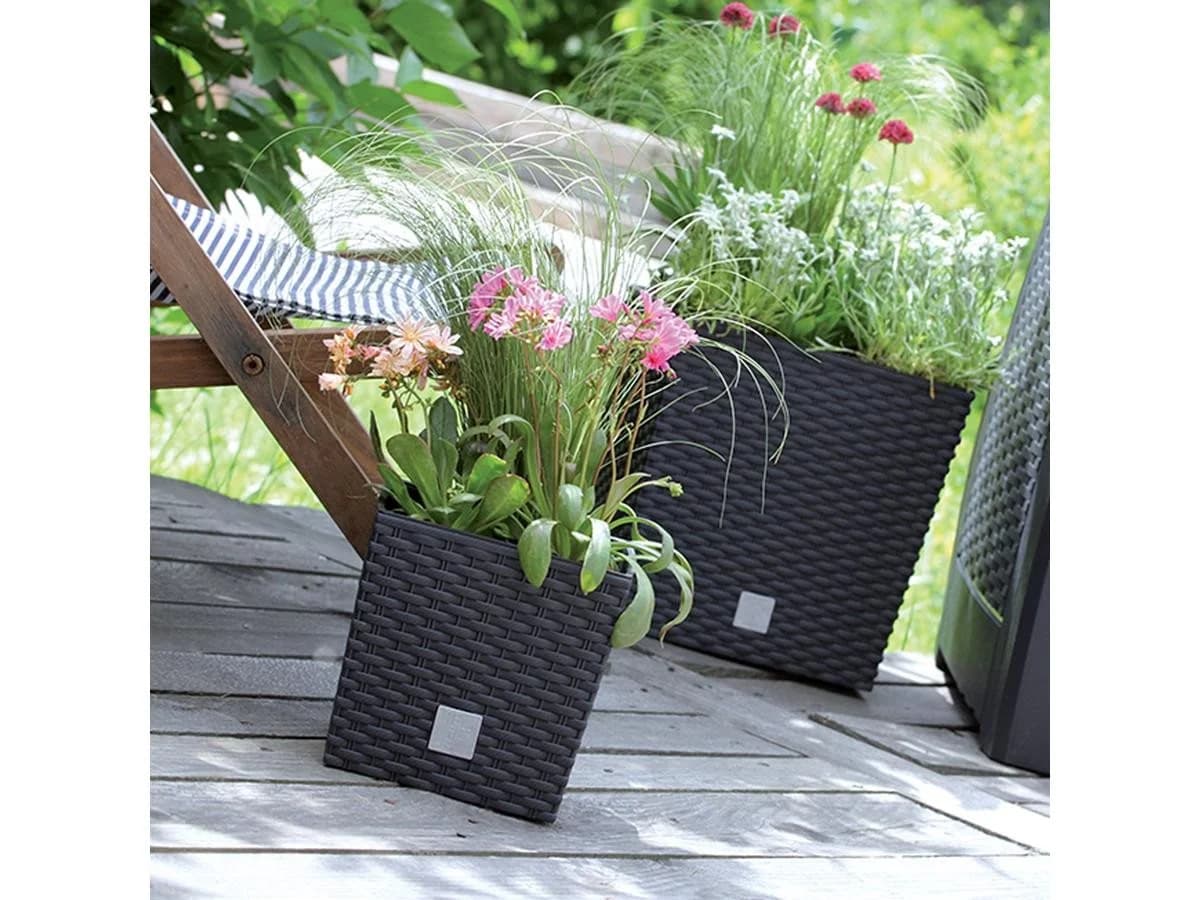 Prosperplast Blumentopf Rato Low 26,6 cm Set 4 St. Grau Rattanoptik - Bild 4