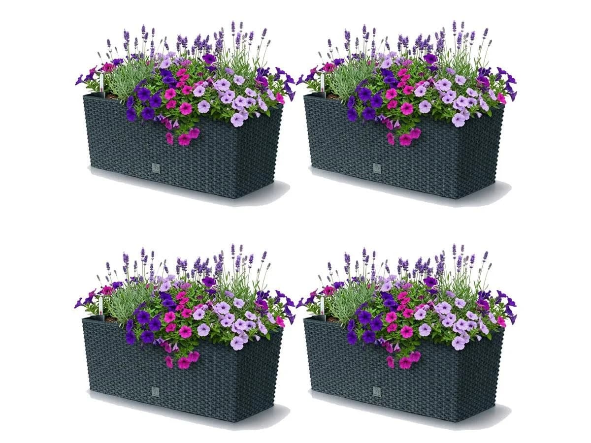 Prosperplast Blumenkasten Rato Case 4er-Set Anthrazit Rattanoptik - Bild 2