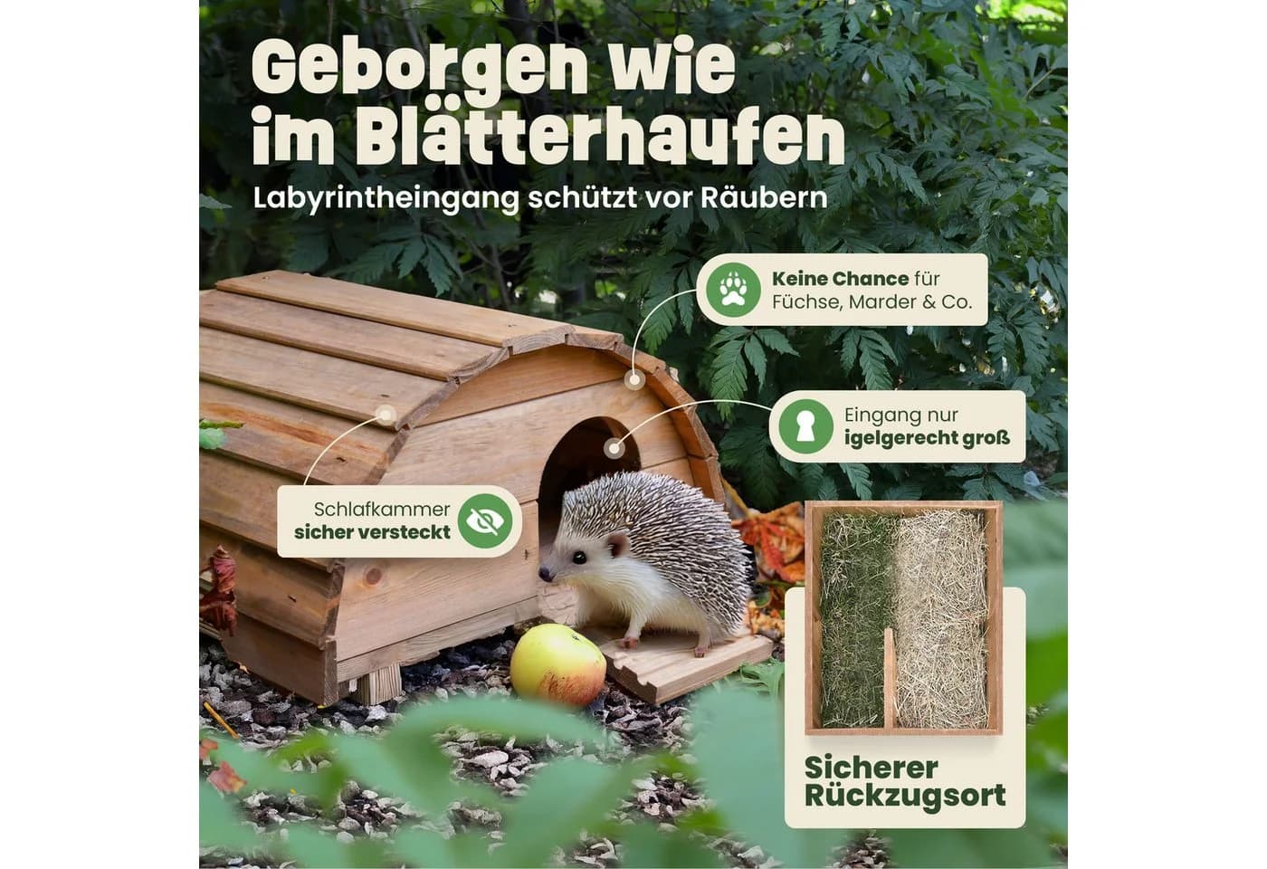Zooprinz Igelhaus Manni aus Massivholz mit Labyrintheingang - Bild 3