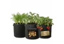 Onbest Pflanzsack Set Schwarz 30 Liter Vliesstoff mit Sichtfenster Bild 2
