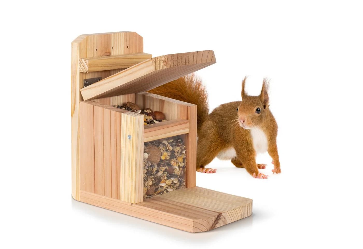 Waldfunk Futterstation Eichhörnchen Wetterfestes Futterhaus Massivholz - Bild 2