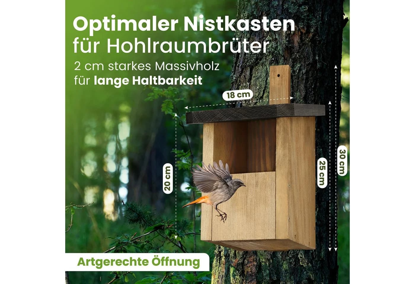 Waldfunk Nistkasten Halbhöhle für Rotkehlchen & Co. Wetterfest Massives Holz