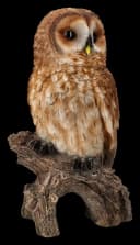 Gartenfigur Eule Großer Waldkauz Dekofigur Wetterfest Bild 3