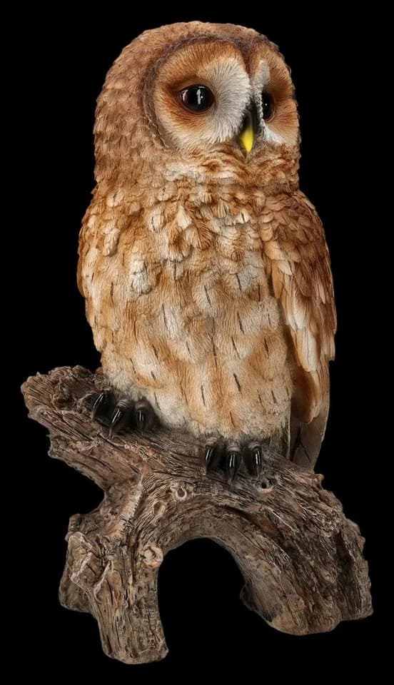 Gartenfigur Eule Großer Waldkauz Dekofigur Wetterfest - Bild 3