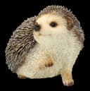 Figuren Shop GmbH Gartenfigur Igel hebt rechte Pfote bunt Bild 3