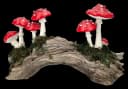 Figuren Shop GmbH Gartenfigur Fliegenpilze auf Baumstamm 23 cm Bild 5