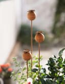 Gartenstecker Mohn 3er Set Metall Rostfinish 60-100cm Bild 1