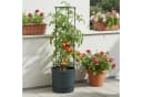 VidaAtHome.de Anzuchttopf HOME GROWER 30er mit Rankgestell Anthrazit Bild 2