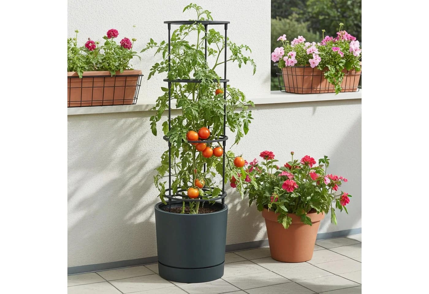 VidaAtHome.de Anzuchttopf HOME GROWER 30er mit Rankgestell Anthrazit - Bild 2