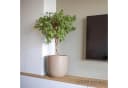 CAPI Pflanzgefäß-Set WASTE SMOOTH Beige 2-teilig Bild 3