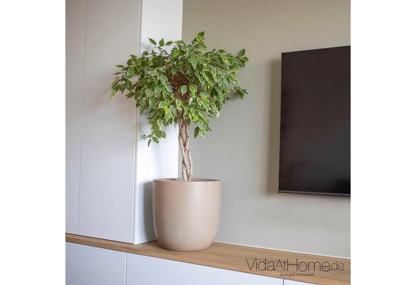 CAPI Pflanzgefäß-Set WASTE SMOOTH Beige 2-teilig - Bild 3