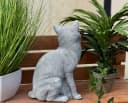 Stone and Style Gartenfigur Frostfeste Steinfigur Katze sitzend lebensgroß Grau Bild 5