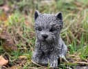 Stone and Style Gartenfigur Yorkshire Terrier Grau Frostfest Bild 4