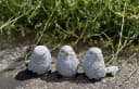 Stone and Style 3er-Set Vogel Steinfiguren Grau Frostfest Bild 1