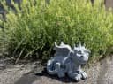 Stone and Style Gartenfigur Drache Filou Frostfeste Steinfigur Bild 1