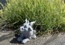 Stone and Style Gartenfigur Drache Filou Frostfeste Steinfigur Bild 3