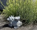 Stone and Style Gartenfigur Drache Filou Frostfeste Steinfigur Bild 4
