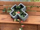 Stone and Style Frostfestes Grabkreuz Pflanzschale Bild 1