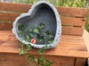 Stone and Style Pflanzschale Frostfestes Pflanzherz XL Rosenherz Grau Bild 1
