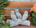 Stone and Style Gartenfigur Frostfeste Steinfigur 3 Eulen auf Baumstamm Grau Bild 1