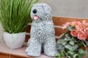 Stone and Style Gartenfigur Frostfeste Steinfigur Bobtail Grau Bild 4