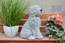 Stone and Style Gartenfigur Frostfeste Steinfigur Bobtail Grau Bild 5