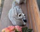 Stone and Style Gartenfigur Reh naturgetreu Frostfest Bild 5