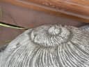 Stone and Style Gartenfigur Frostfeste Steinfigur Schnecke Grau Bild 5