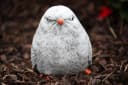 Stone and Style Gartenfigur Vogel Hansi Frostfest Grau Bild 3