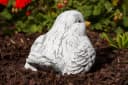 Stone and Style Gartenfigur Vogel Berta Grau Frostfest Bild 3