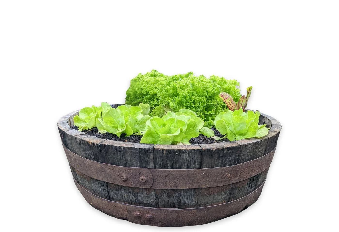Temesso Vogeltränke Whiskyfass Eiche ca. 60 cm - Bild 2