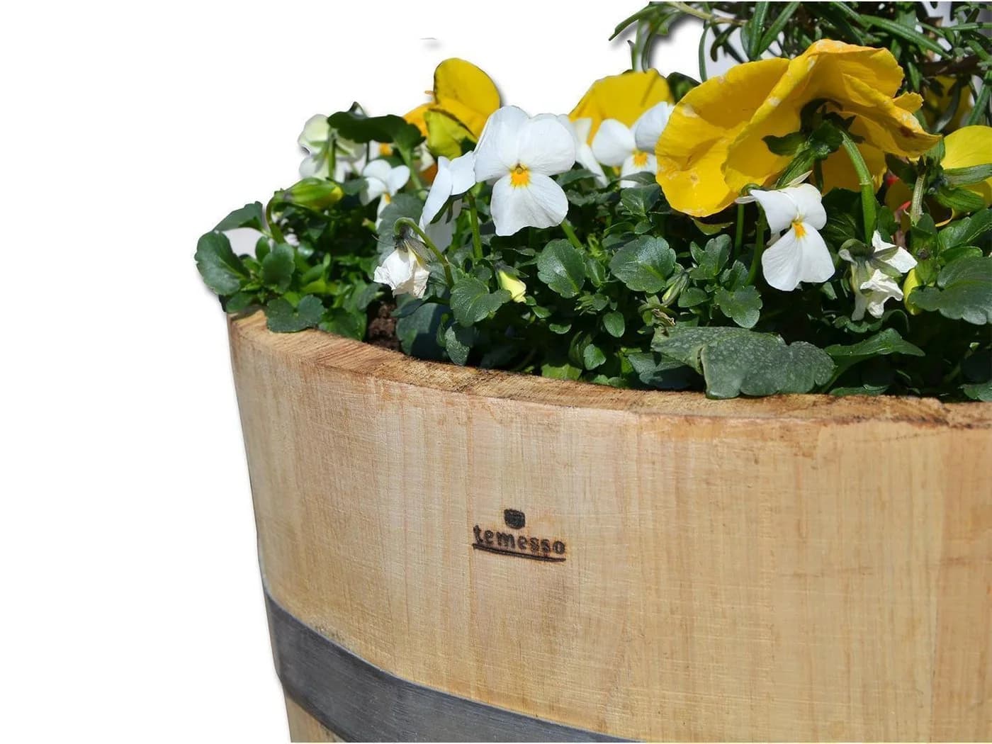 Temesso Pflanzkübel Kastanienholz Natur 30-60cm - Bild 5