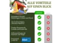Eli Futterhaus Bausatz für Kinder zum Bemalen mit 6 Farben, Holzhammer & Nägel Bild 5