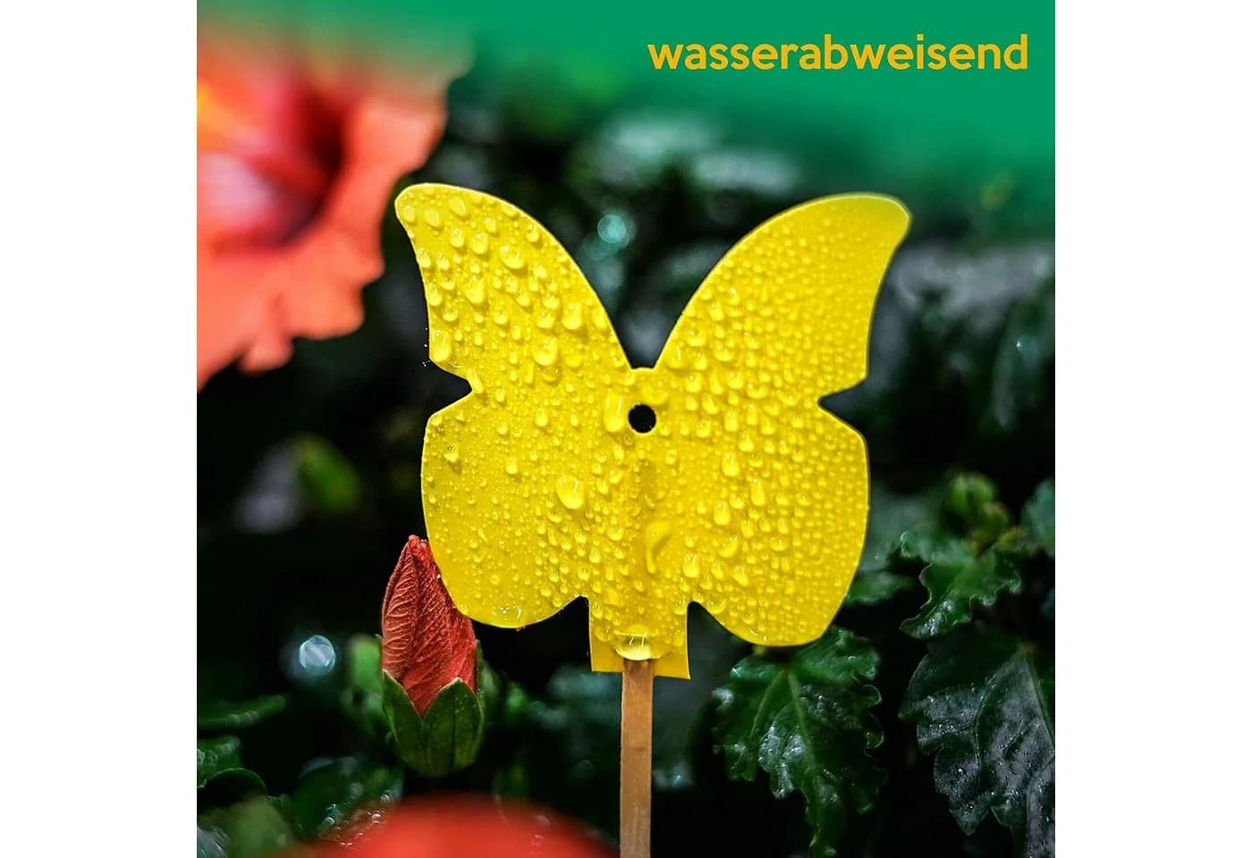 Inseko Klebefalle 15 x Profi Gelbsticker Gelbtafeln Fliegenfalle umweltfreundlich & giftfrei - Bild 4