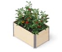 Upyard Palettenrahmen Hochbeet 3er-Set 80 x 60 cm Bild 2