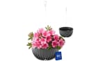 KONZEPT Blumenampel Hängetopf 30cm Grau Kunststoff Bild 2