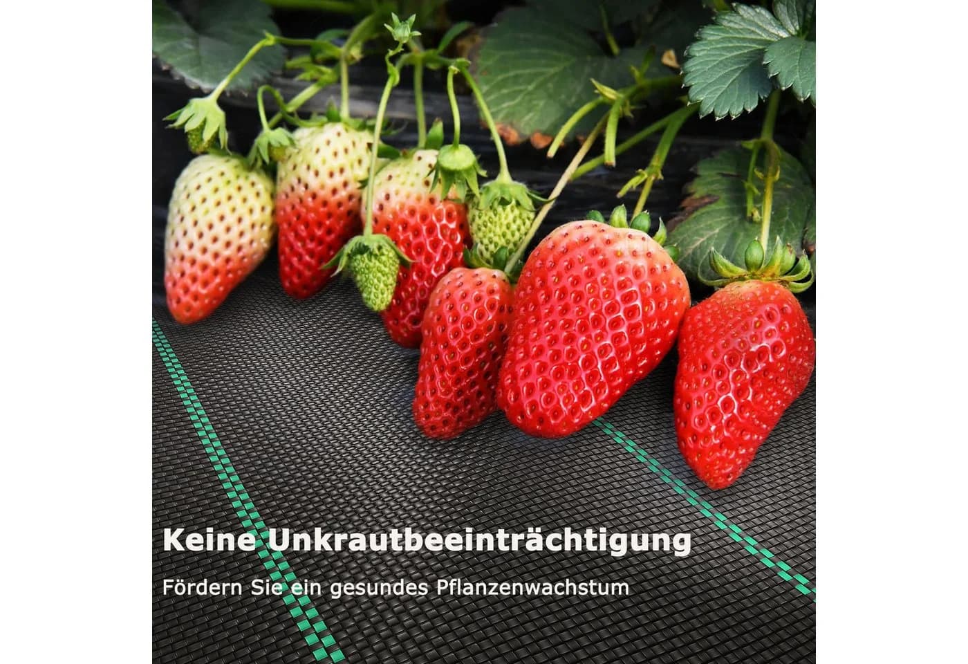 OUNUO Unkrautvlies 90g/m² Schwarz 3x25m Rolle - Bild 3