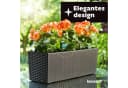 KONZEPT Balkonkasten Rattan-Optik Grau 56x19cm Bild 1